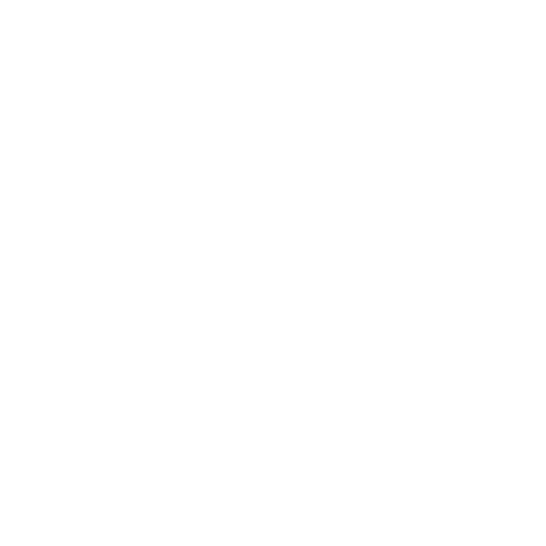 Rule of Law and Access to Justice
